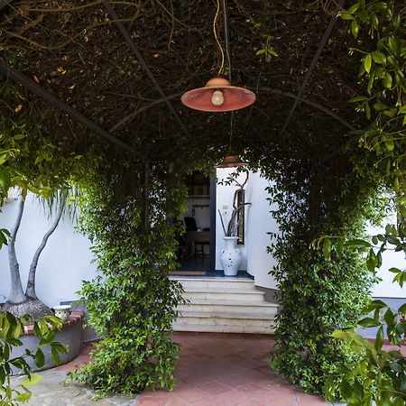 Villa Gio B&B De Charme Montecorice Exterior foto